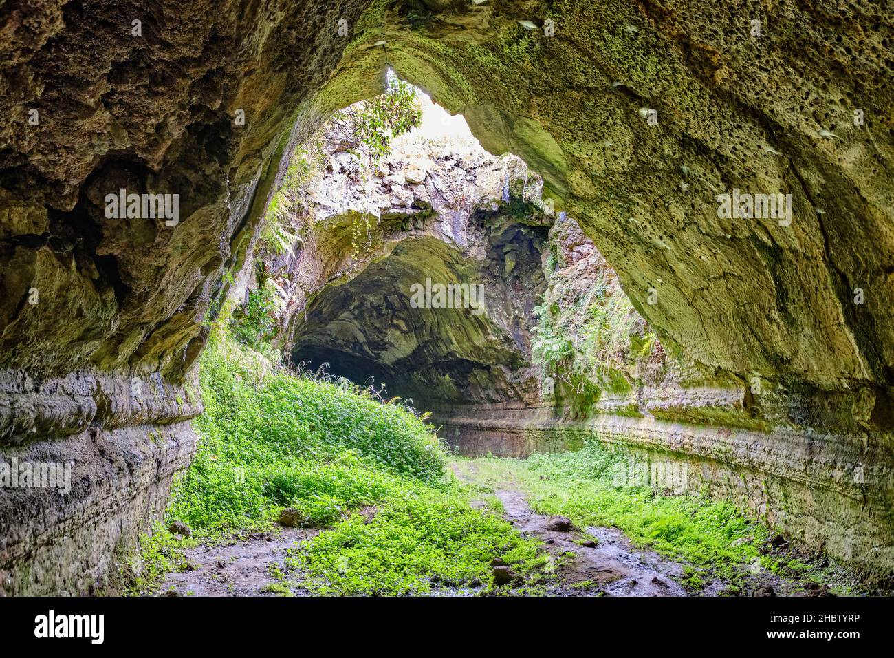 Furna do Abel, ein Lavatunnel an den Hängen des großen Krater des Vulkans. Die Insel Graciosa, ein Biosphärenreservat. Azoren. Portugal Stockfoto