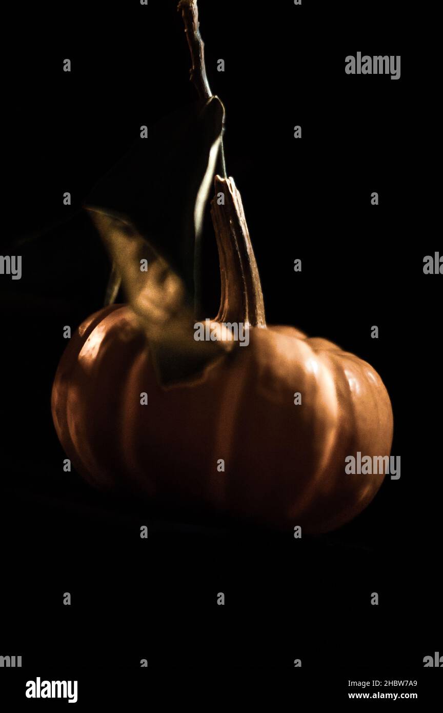 Still-Leben Stockfoto