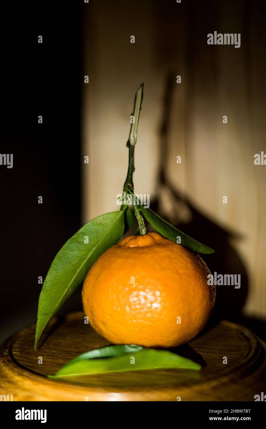 Still-Leben Stockfoto