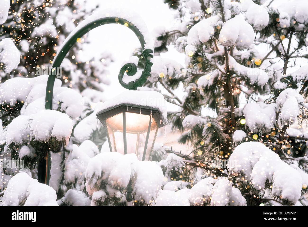 Schöne glühende Straßenlaterne, umgeben von verschneiten Tannen mit Lichtern des traditionellen Weihnachtsfestes. Urlaubskonzept. Winter Urlaub Saison Hintergrund. Stockfoto