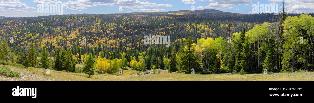Aufnahme vom Highway 14 im Süden Utahs während des Farbwechsels 2021 Stockfoto
