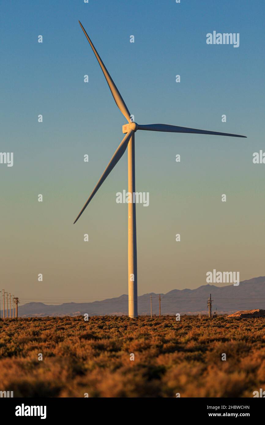 Windkraft-Generator in einem Wüstental in Puerto Peñasco, Mexiko. Sonoran Desert Rotorblätter einer Windkraftanlage in elektrischer Energie, elektrischer Generator von einer vom Wind getriebenen Turbine bewegt, Rotorblätter, Horizont, Golf von Kalifornien, Golf von Santa Clara, Windpark 2019 © (© Foto: LuisGutierrez / NortePhoto.com) Stockfoto