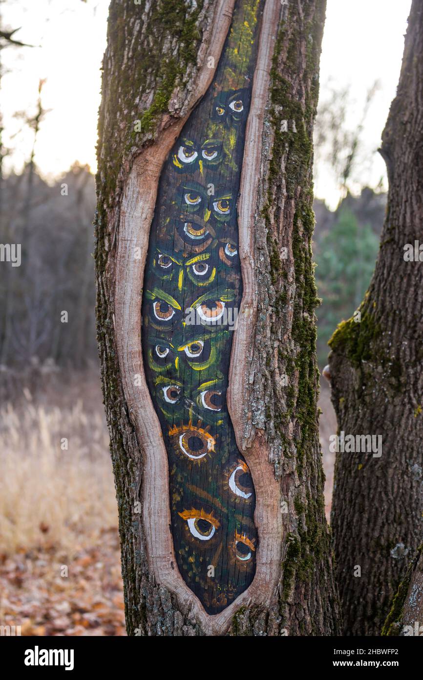 Die Augen der Eulen, die in den hohlen Baum gemalt sind, auf das Holz zeichnend Stockfoto