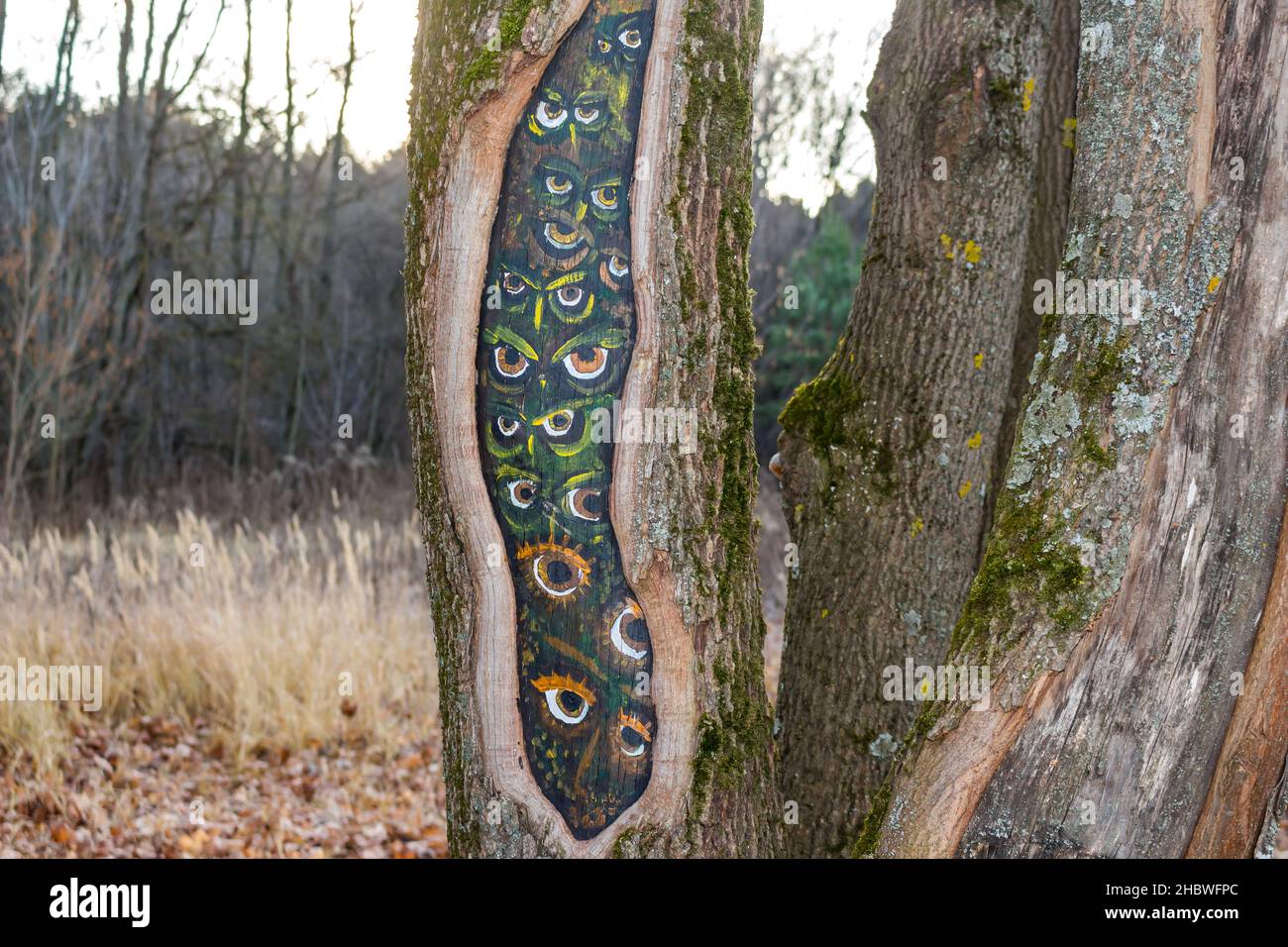 Die Augen der Eulen, die in den hohlen Baum gemalt sind, auf das Holz zeichnend Stockfoto