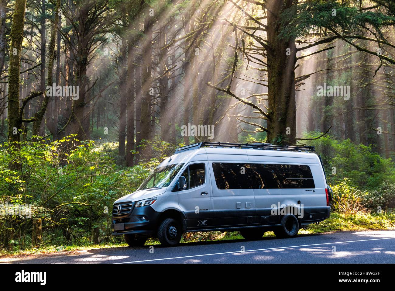 Luftstrom Interstate 24X 4WD Wohnmobil; dramatische Morgenlicht Filter durch den Nebel und große Bäume; Cape Perpetua Scenic Area; in der Nähe von Yachats; Oregon Stockfoto