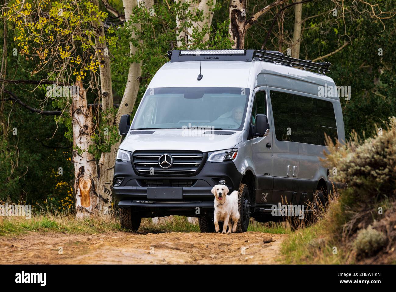 Luftstrom Interstate 24X Wohnmobil auf Feldweg; platinfarbener Golden Retriever Hund; Huntington Canyon; Zentral-Ost-Utah; USA Stockfoto