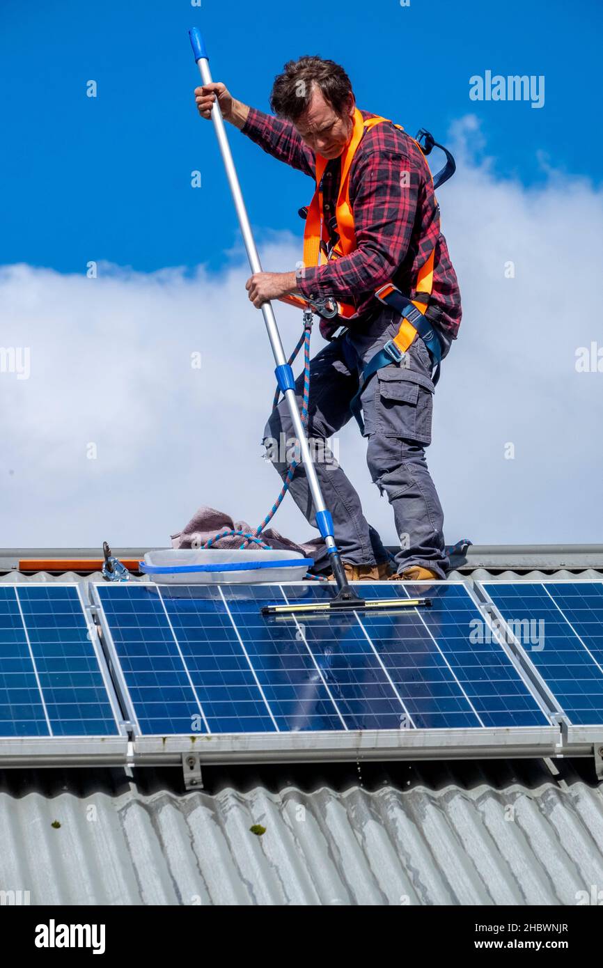 Handwerker trägt einen Gurt, der Solarpaneele auf dem Dach des Vorstadthauses reinigt Stockfoto