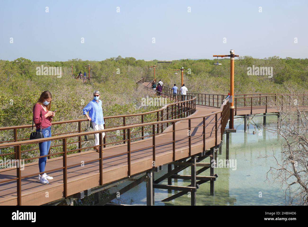 Touristen im Jubail Mangrove Park, mit grauen Mangroven, Avicennia Marina, Jubail Island, Abu Dhabi, Vereinigte Arabische Emirate Stockfoto