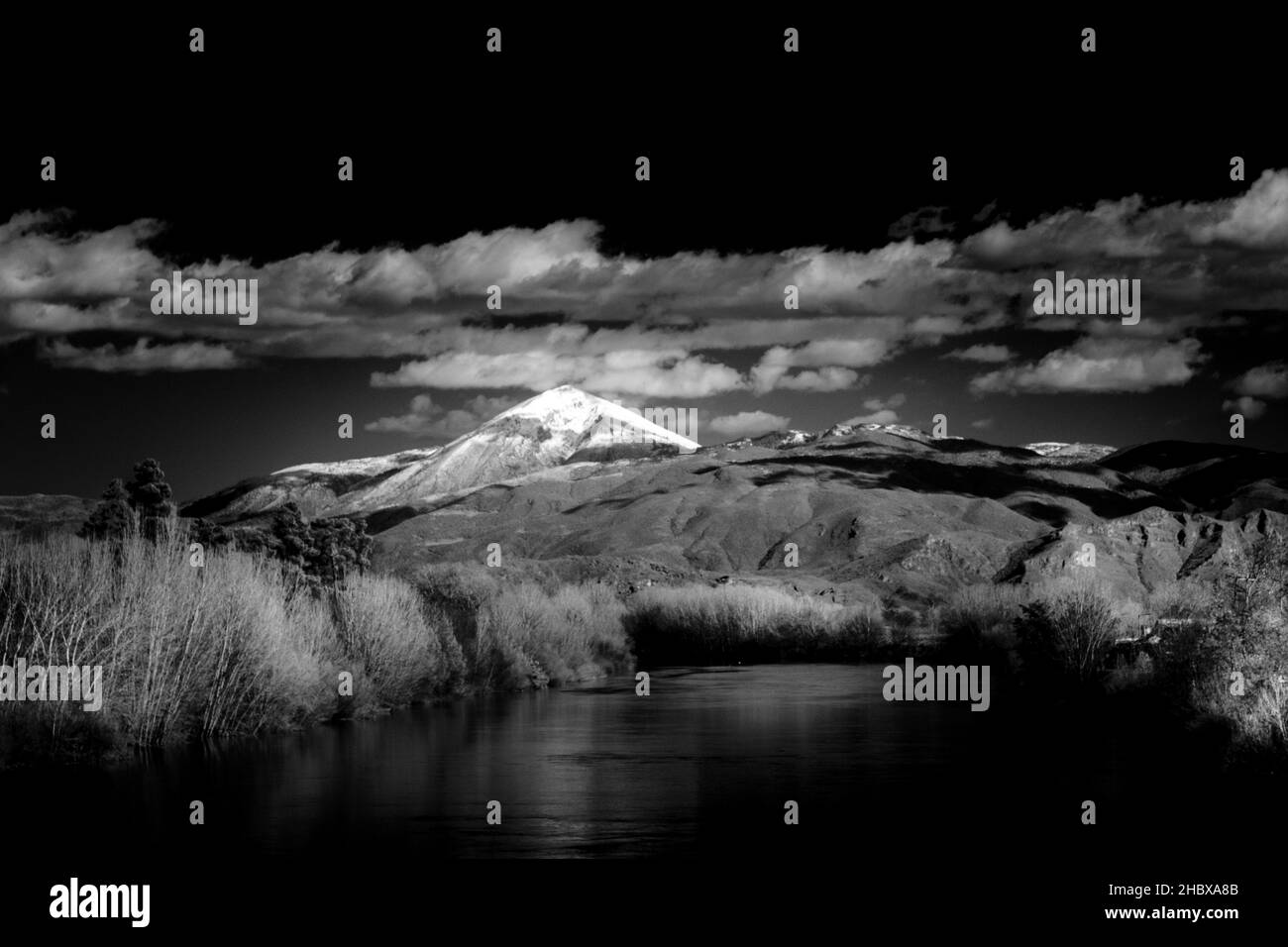 Infrarote schwarz-weiße Landschaft Stockfoto