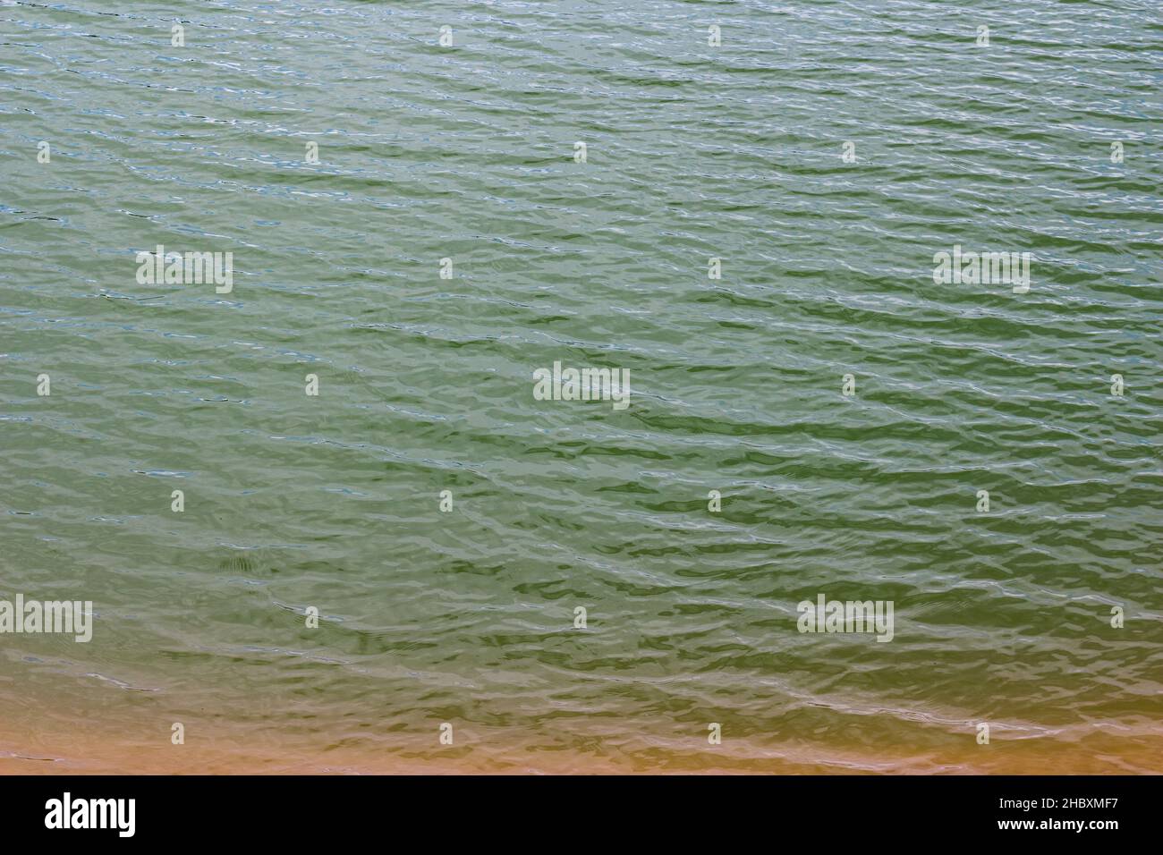 Der reizvolle Blick auf einen Teich mit Wellen auf der Wasseroberfläche Stockfoto