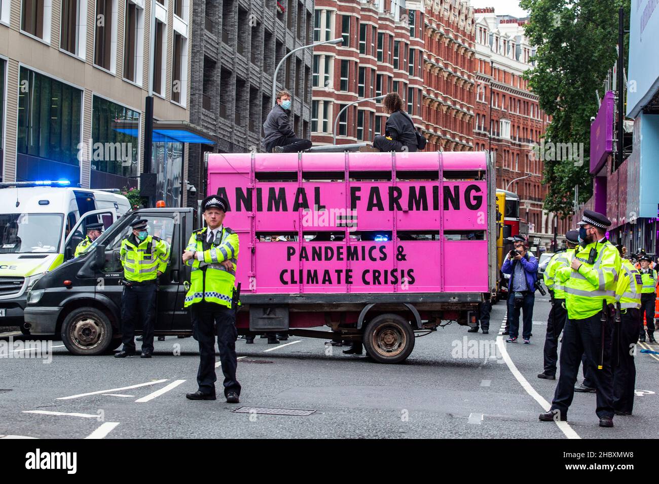 Tieraufstände Demonstranten auf rosafarbenem Schlachthof-LKW mit Polizei Tierhaltung entspricht Pandemien und Klimakrise London 2020 Stockfoto