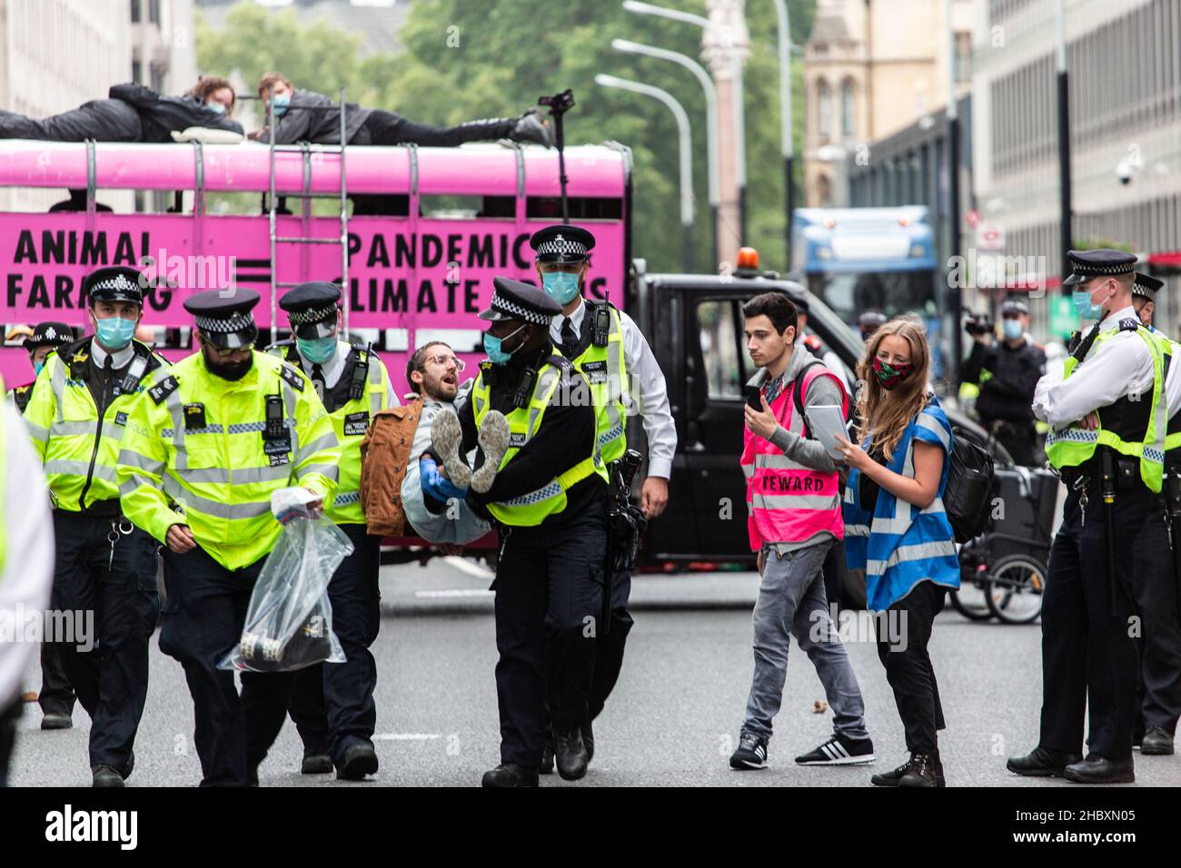 Die Polizei verhaftete einen Protestierenden der Animal Rebellion vor einem pinken Lastwagen mit einer Botschaft gegen die Tierhaltung London 2020 Stockfoto