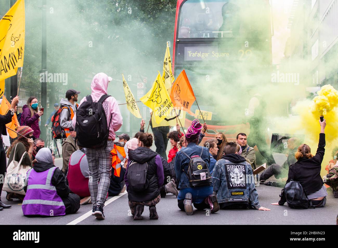 Aktivisten der Tieraufstandsbewegung blockieren die Londoner Straße mit gelbem Flare und Flaggen London 2020 Stockfoto