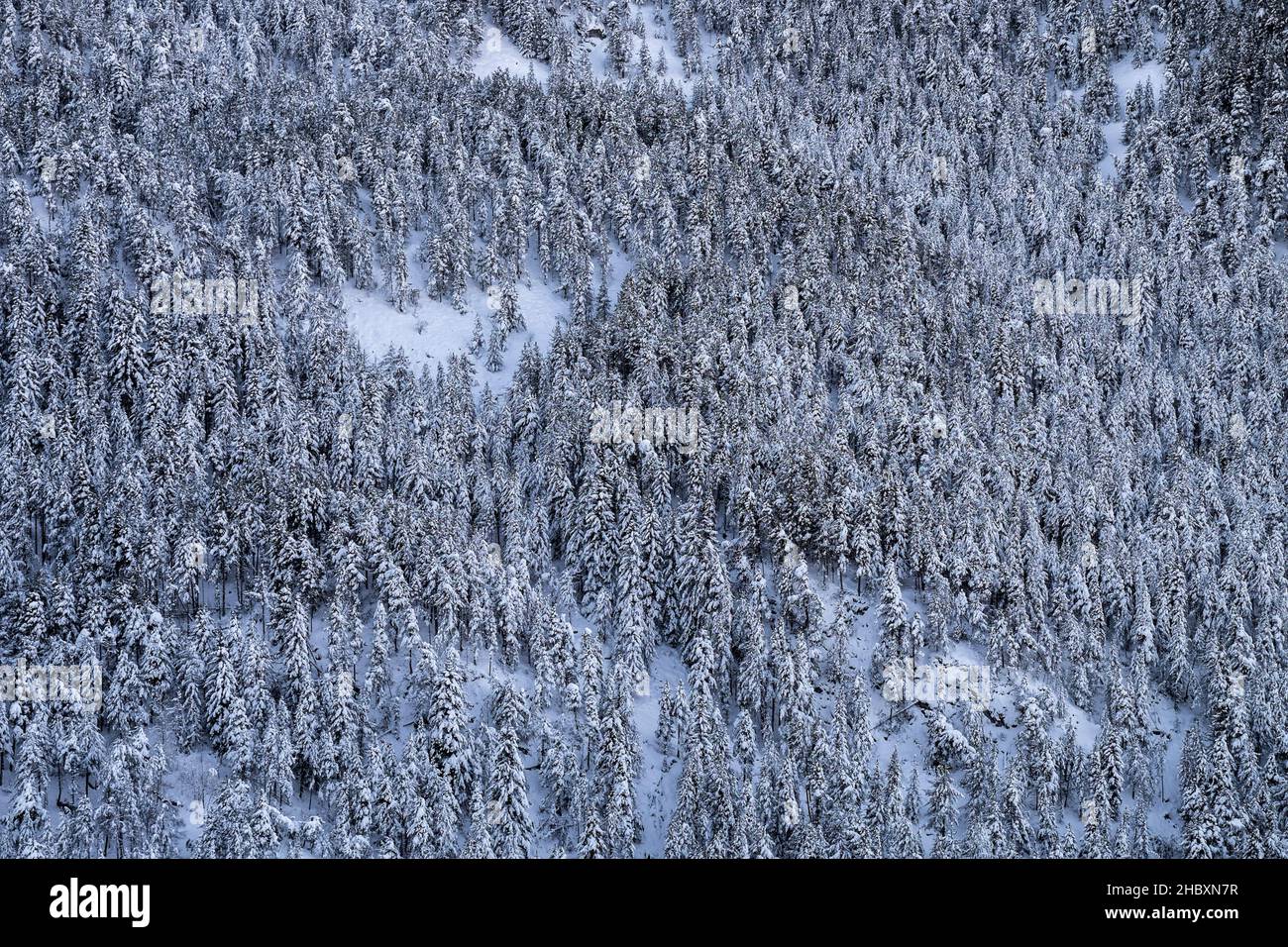 Andorra ist einer der schneesichersten Orte in den Pyrenäen. Es ist daher der ideale Ort, um viele Winteraktivitäten mit Familie oder Freunden zu praktizieren Stockfoto