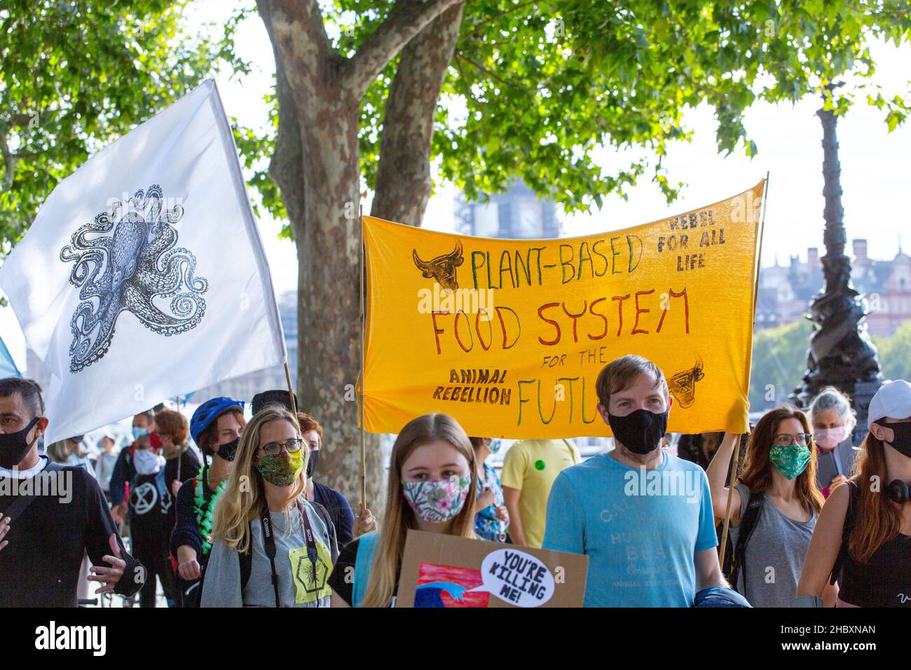 Demonstranten mit einer Flagge, die besagt, dass ein pflanzliches Ernährungssystem mit Masken 2021 durch London marschiert Stockfoto