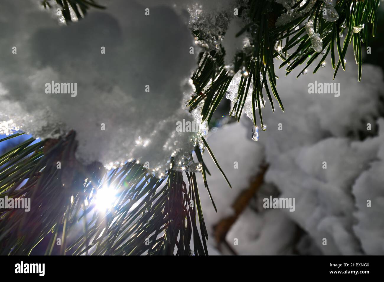 Andorra ist einer der schneesichersten Orte in den Pyrenäen. Es ist daher der ideale Ort, um viele Winteraktivitäten mit Familie oder Freunden zu praktizieren Stockfoto