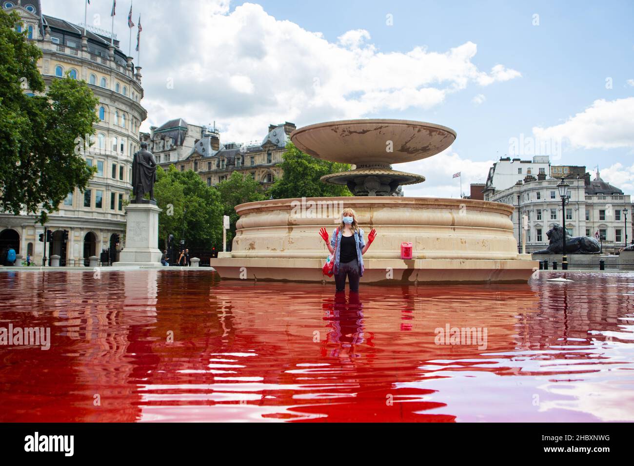 Tierischer Rebellion-Aktivist, der im roten Wasser im Trafalgar Square-Brunnen steht und Hände in der Luft hält London 2020 Stockfoto