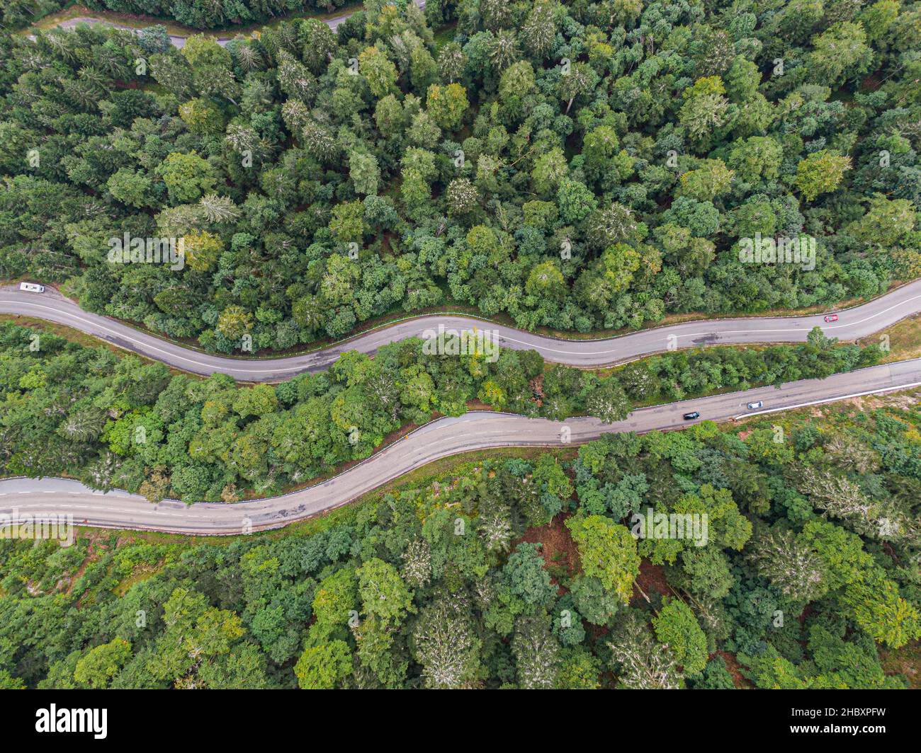 Luftaufnahme auf zwei Straßen, die den nadelwald von voges durchqueren Stockfoto