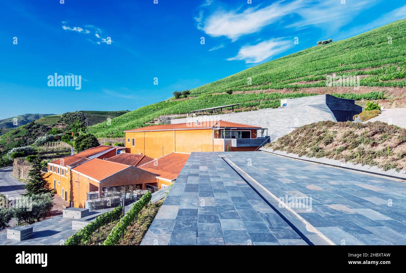 Weinberge und Weinkellereien im Douro-Tal. Stockfoto