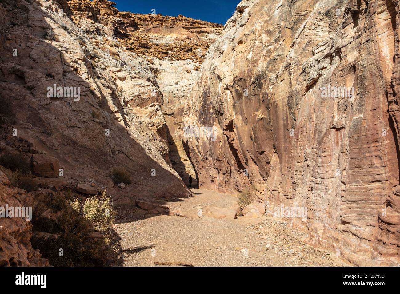 Der Little Wild Horse Canyon ist ein schöner Slot im Südwesten, der durch den San Rafael-Brunnen in der Nähe des Goblin Valley State Park in Utah führt Stockfoto