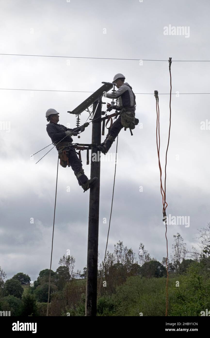Power Workers ersetzt den alten Strommast und verbindet Stromkabel auf einem ländlichen Grundstück in Wales, Großbritannien Stockfoto