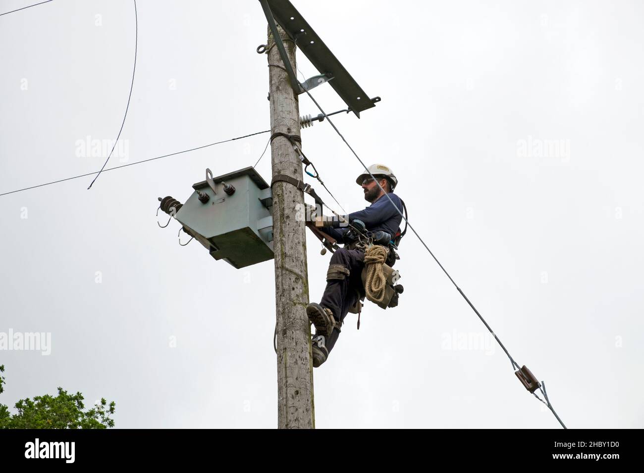 Linienarbeiter, der den alten Strommast ersetzt und Stromkabel auf einem ländlichen Grundstück in Wales, Großbritannien, angeschlossen hat Stockfoto