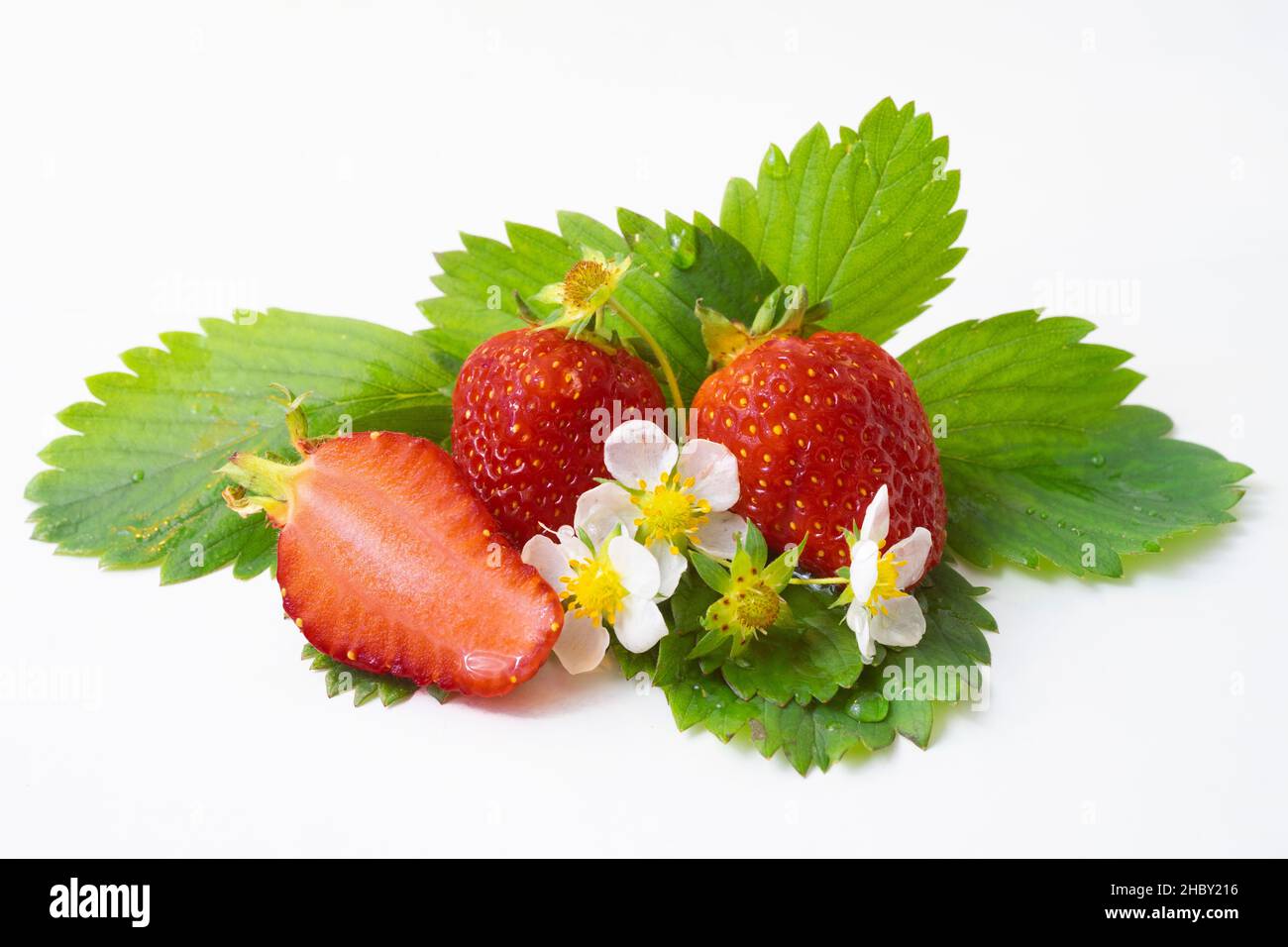 Erdbeeren auf grünen Blättern und weißen Blüten, isoliert auf weißem Hintergrund. Stockfoto