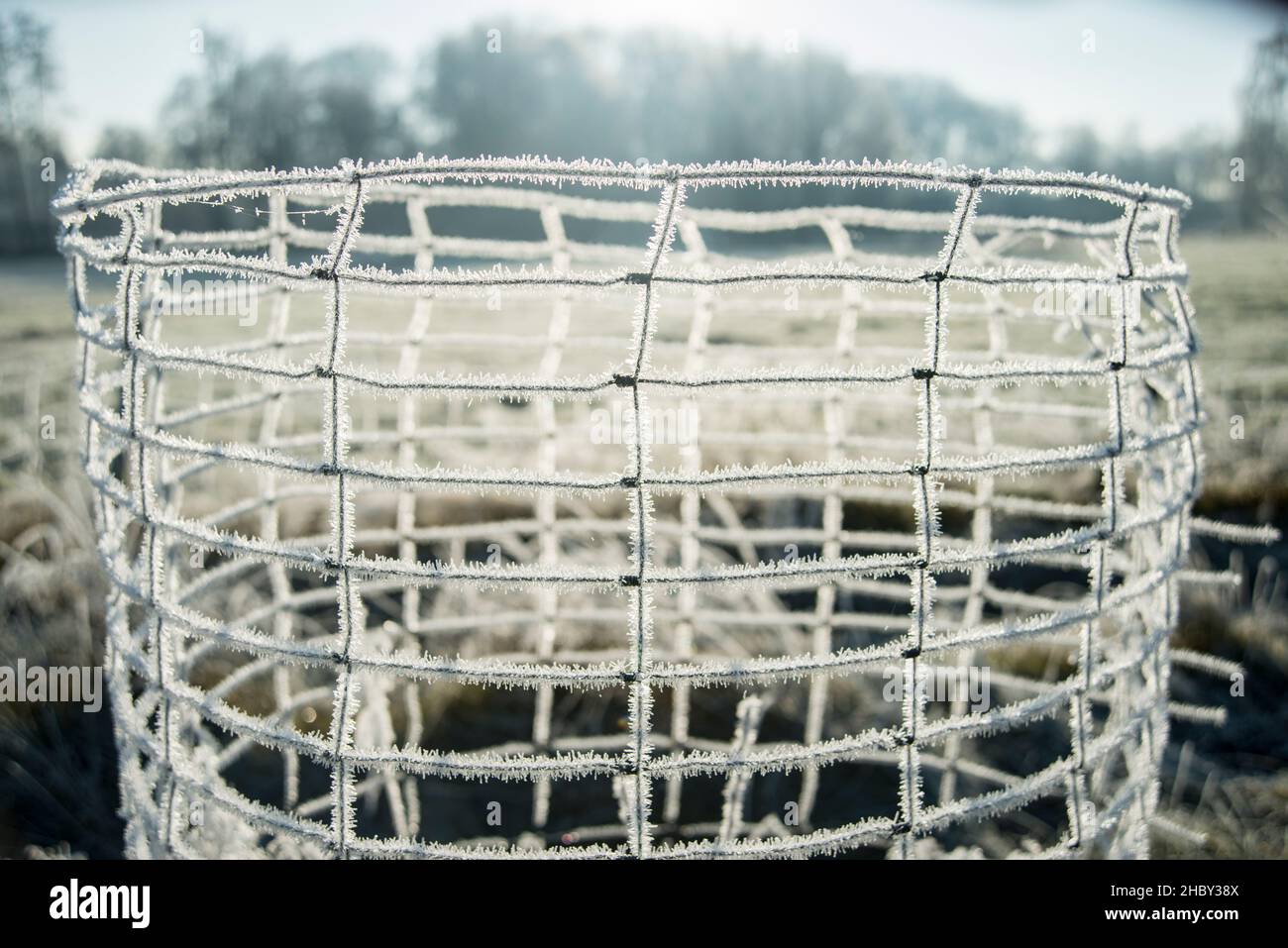 Eiskristalle auf dem Zaumzeug. Stockfoto