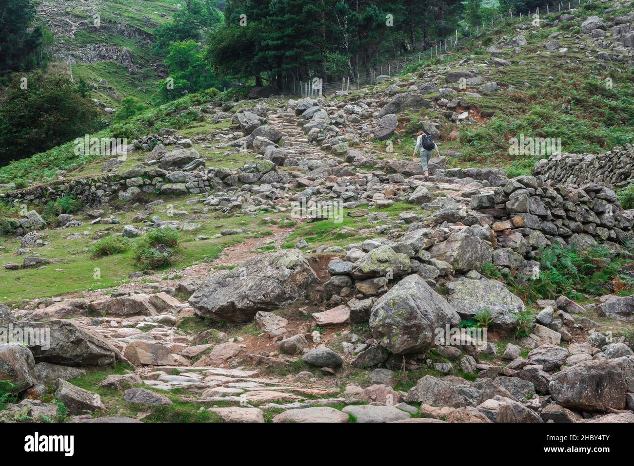 Langdale Walking, Blick auf eine reife Frau, die alleine in Stickle Ghyll läuft, einem anspruchsvollen Trail, der bis zu den Langdale Pikes, Lake District, Cumbria führt Stockfoto