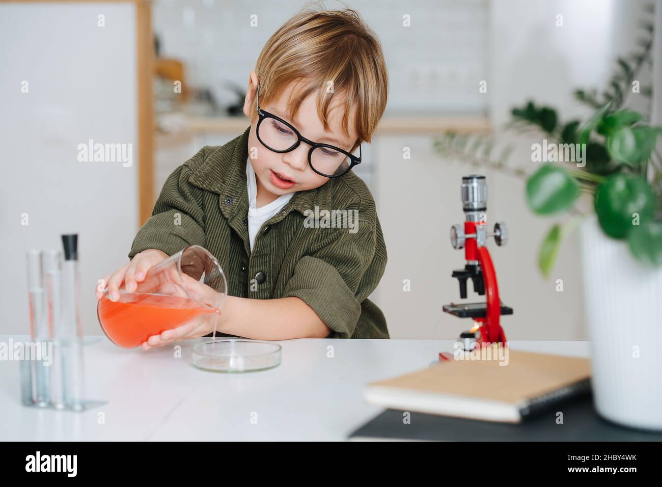 Netter kleiner Junge, der ein Wissenschaftsprojekt macht und eine chemische Glasschale aus einem Becher füllt Stockfoto