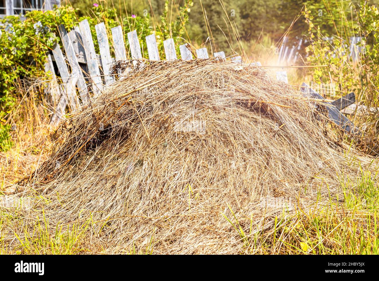 Stapel von trockenem Heu an sonnigen Sommertagen auf dem Land. Landschaft auf dem Land Stockfoto