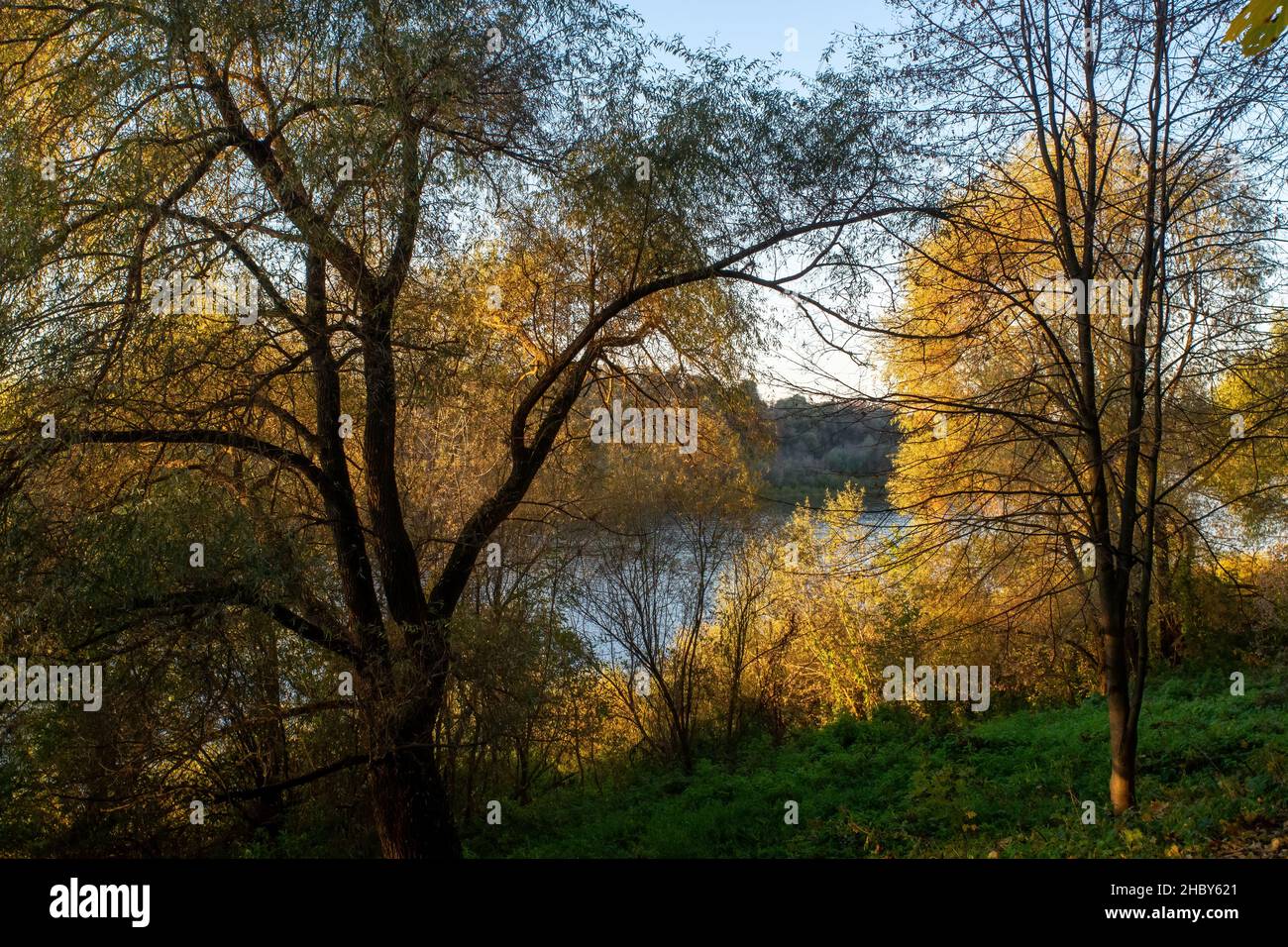 Das Ufer eines großen Flusses an einem klaren Tag, im Herbst Stockfoto