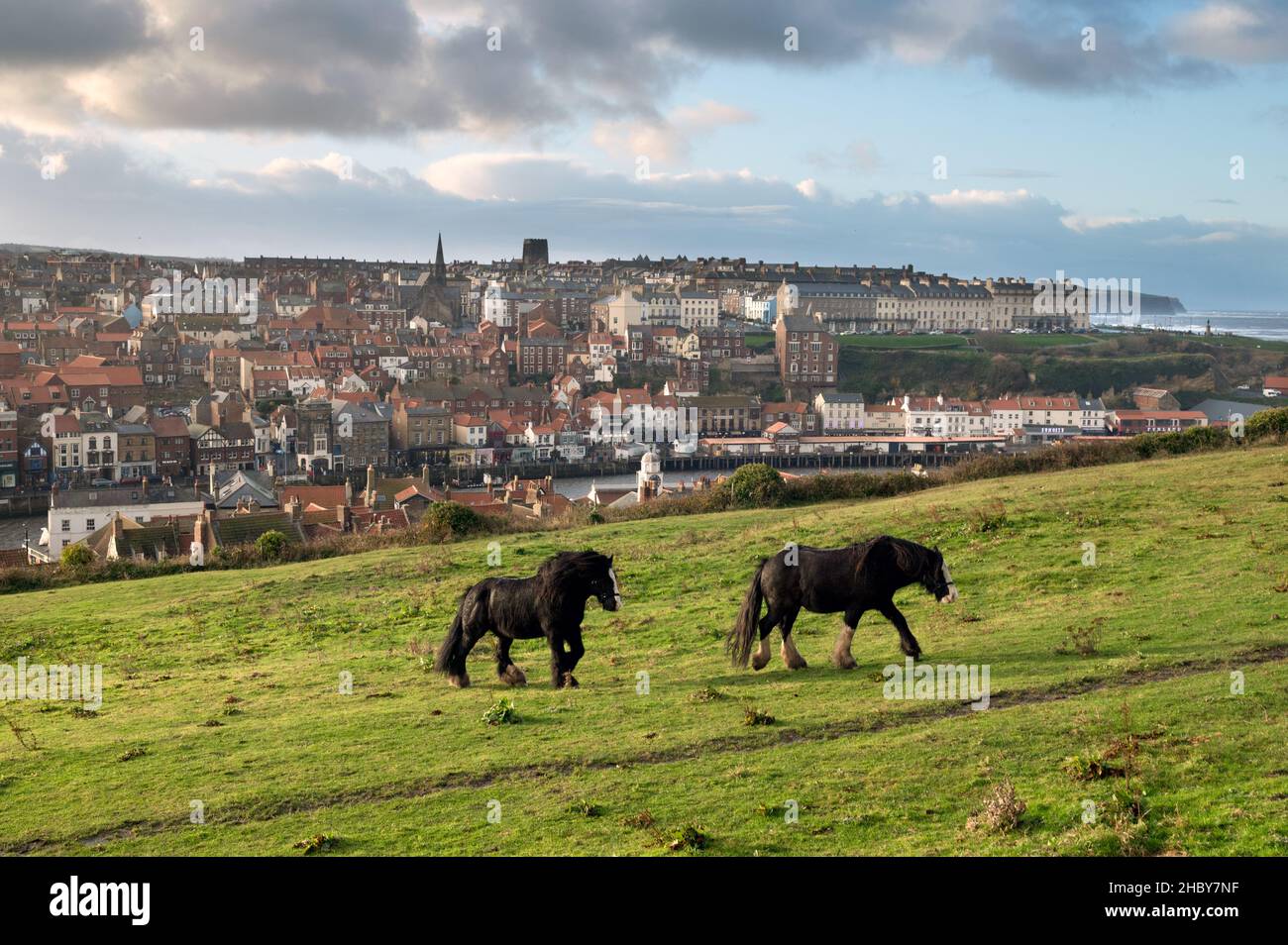 Blick über den Hafen auf die West Cliff, Whitby, North Yorkshire, Großbritannien. Stockfoto