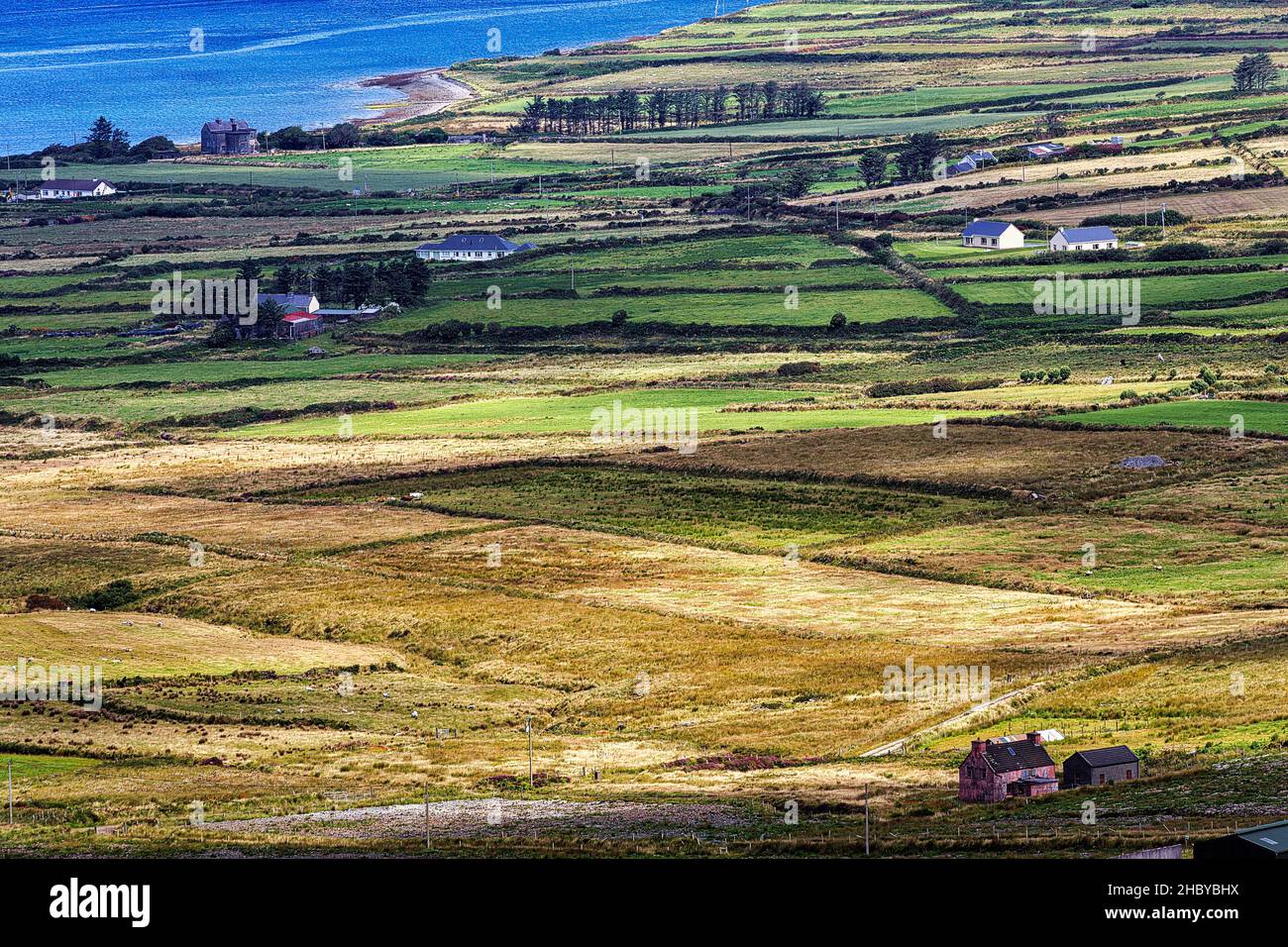 Blick vom Coomanaspig Pass auf Wiesen, Felder und einzelne Häuser, Skellig Ring Panoramastraße, Portmagee, Halbinsel Iveragh, Kerry, Irland Stockfoto