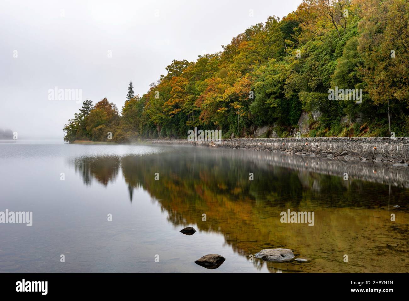 Herbstfarbe am Ufer des Loch ARD, in der Nähe von Loch Lomond Stockfoto