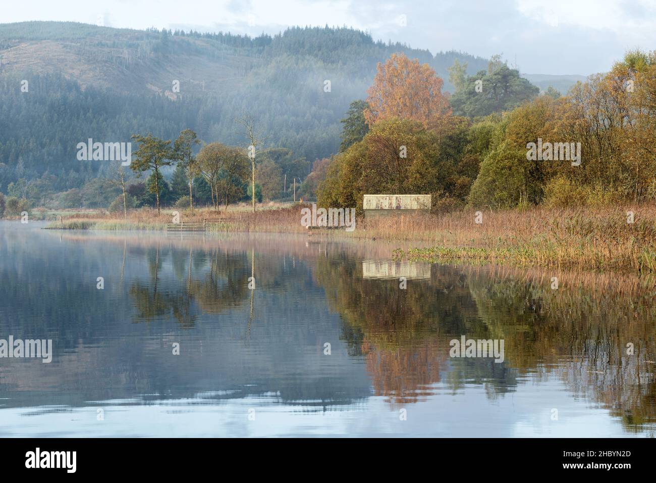 Herbstfarbe am Ufer des Loch ARD, in der Nähe von Loch Lomond Stockfoto