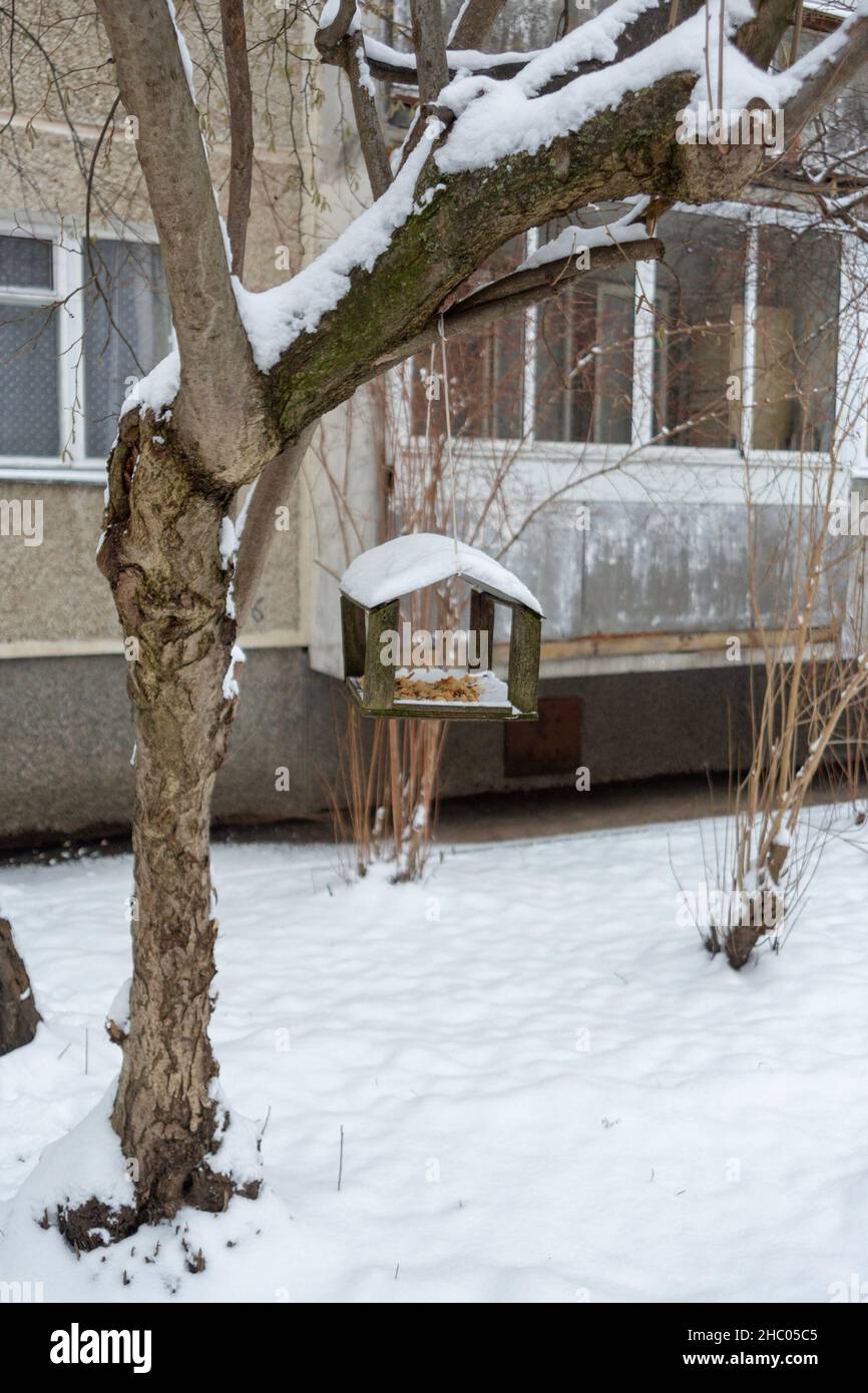 Holzvogelfutterhäuschen wiegt im Winter auf dem Baum Stockfoto