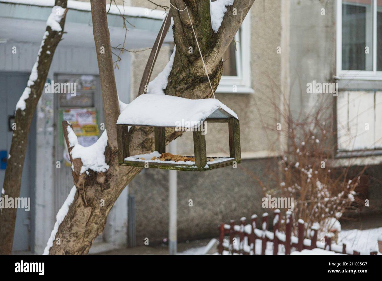 Holzvogelfutterhäuschen wiegt im Winter auf dem Baum Stockfoto