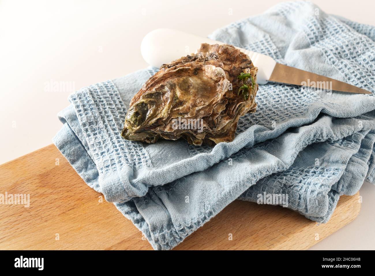 Frische pazifische Auster und ein Messer auf einem blauen Küchentuch, bereit zum Öffnen, Kopierraum, ausgewählter Fokus, enge Schärfentiefe Stockfoto
