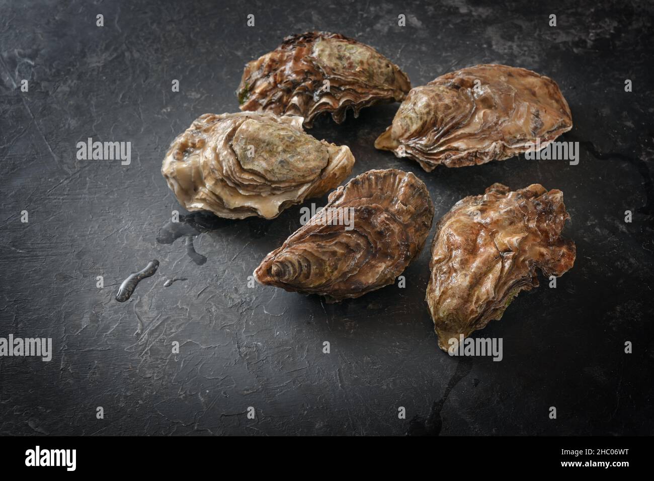 Pazifische Austern frisch vom Fischmarkt auf dunkelgrauem Hintergrund, Kopierraum, ausgewählter Fokus, enge Schärfentiefe Stockfoto