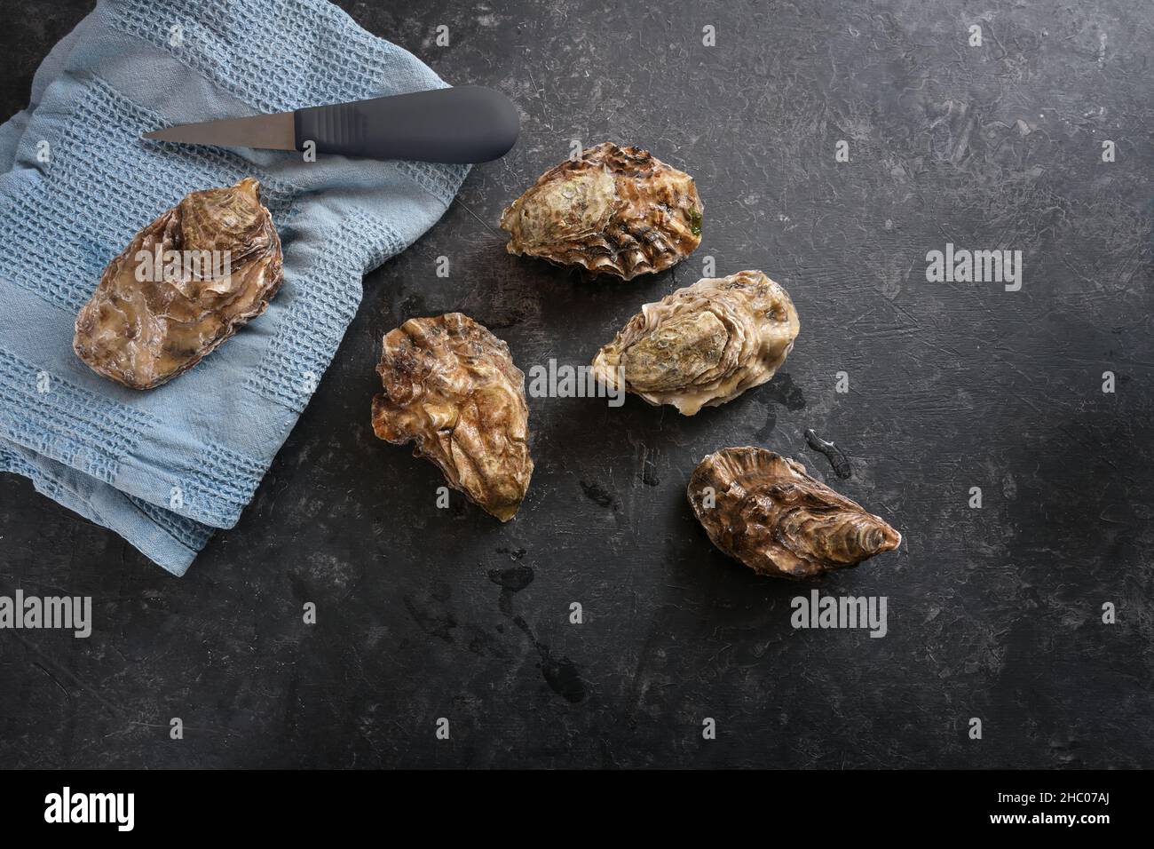 Frische geschlossene Austern, spezielles Messer zum Öffnen und ein blaues Küchentuch auf dunkelgrauem Hintergrund, Kopierraum, Hochwinkelansicht von oben, ausgewählt f Stockfoto