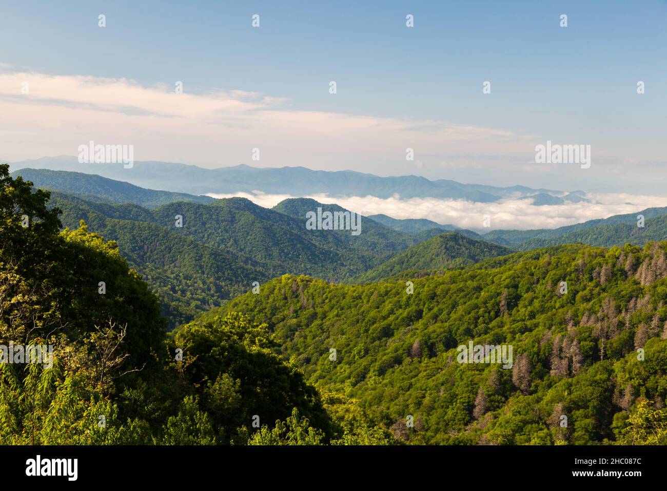 Great Smoky Mountains Nationalpark Stockfoto