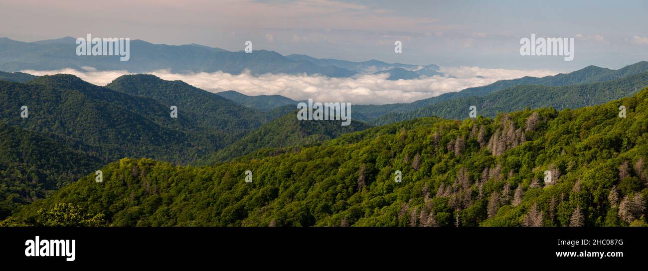 Great Smoky Mountains Nationalpark Stockfoto