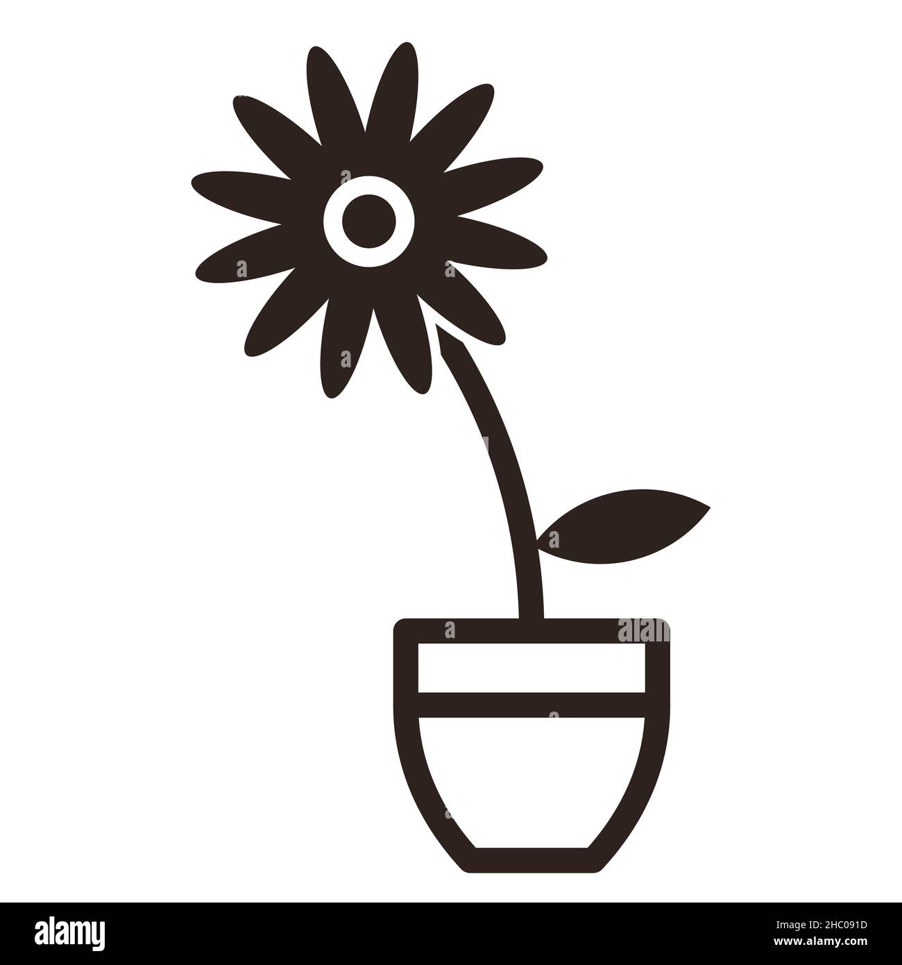 Gerbera Daisy - Blume im Topf Zeichen Stockfoto