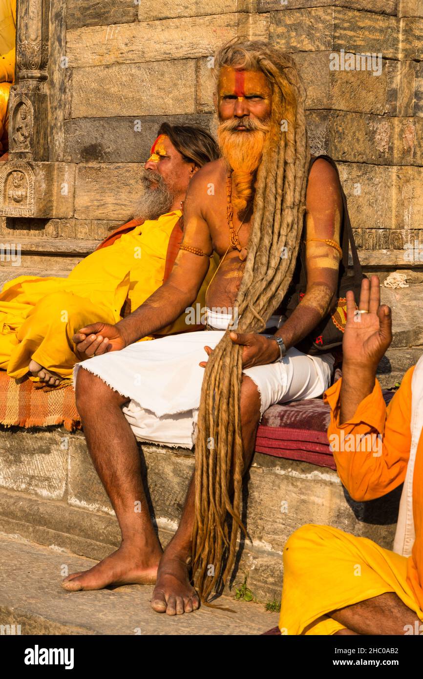 Sadhus, hinduistische Asketen oder heilige Männer im Pashupatinath-Tempelkomplex in Kathmandu, Nepal. Die Dreadlocks wurden seit 44 Jahren nicht mehr geschnitten. Stockfoto