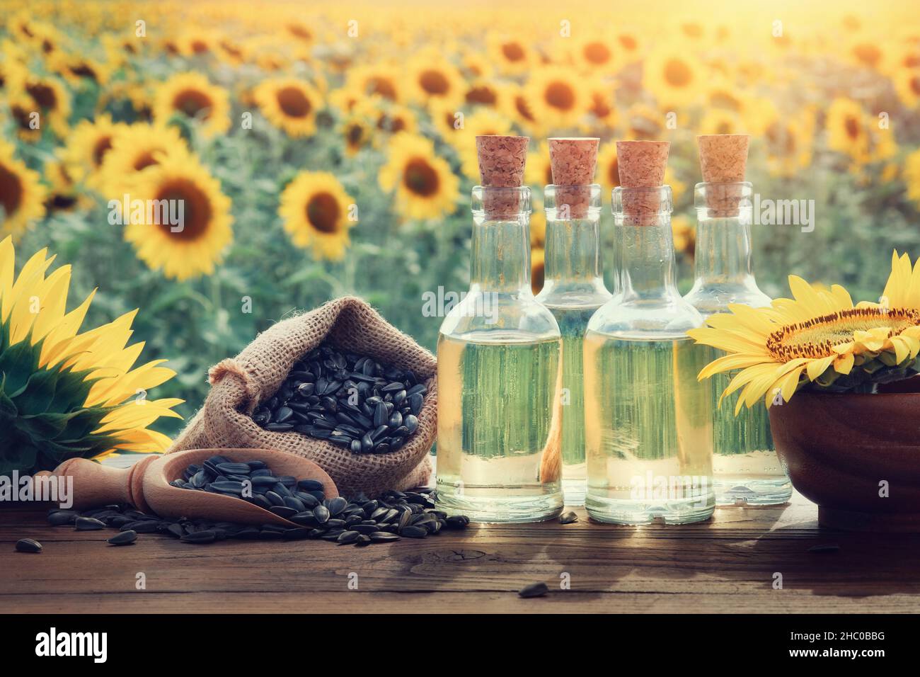 Drei Sonnenblumen Fotos Und Bildmaterial In Hoher Aufl sung Alamy drei-sonnenblumen-fotos-und-bildmaterial-in-hoher-aufl-sung-alamy