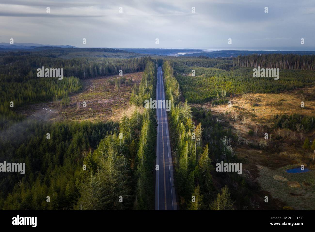 Highway 101 in Oregon, Luftaufnahme des Holzfällgebietes. Stockfoto