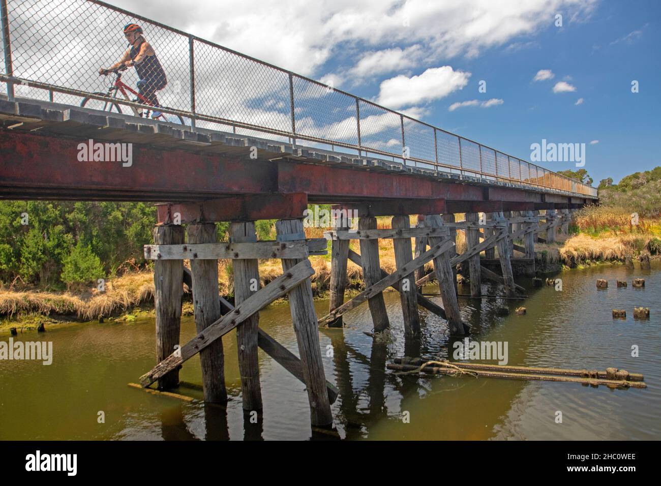 Radfahrer auf dem Bass Coast Rail Trail Stockfoto