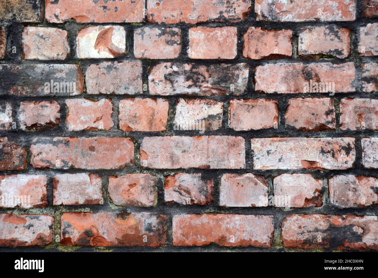 Alte Ziegelsteine in einem historischen Gebäude schaffen einen rustikalen strukturierten Hintergrund Stockfoto