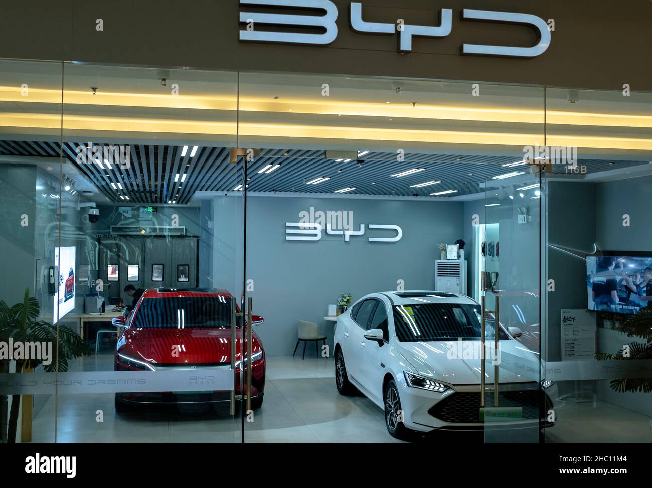 Elektroautos in einem BYD-Geschäft. BYD ist der führende Hersteller von Elektrofahrzeugen in China. Stockfoto